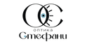 Оптика Стефани - Начало